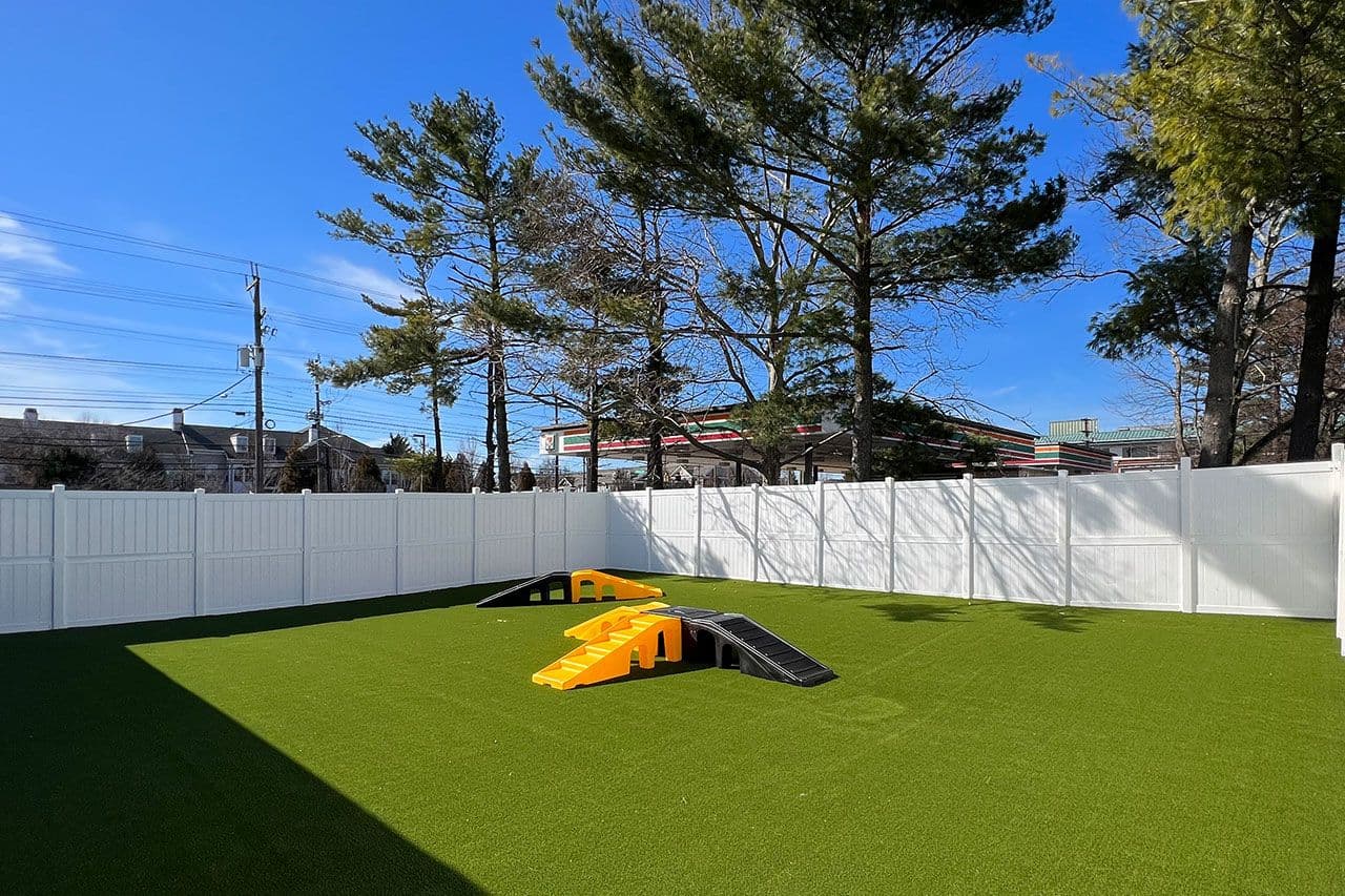 Playful Pack's Patio in Rockville, MD