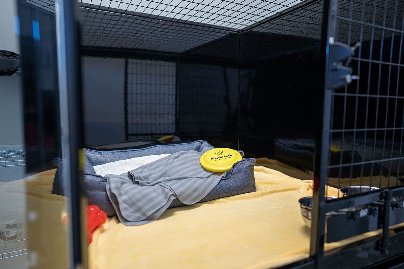 A dog boarding room inside Playful Pack